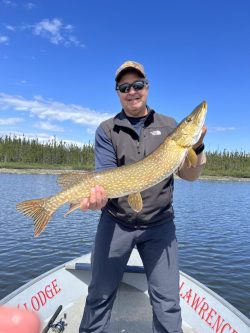 Man standing in a boat on a lake holding a large fish, with trees and blue sky in the background.