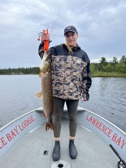 Person standing on a boat holding a large fish next to a lake, surrounded by trees under a cloudy sky.