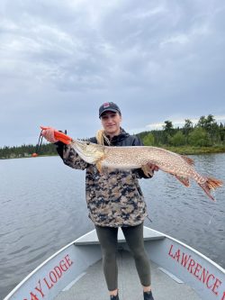 Person standing on a boat holding a large fish over the water, with trees and cloudy sky in the background.