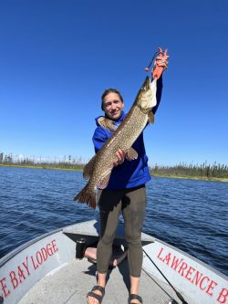 Person standing on a boat holding a large fish with a blue sky and trees in the background.