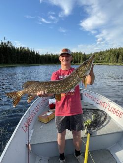 Person standing on a boat holding a large fish with a lake and forested shoreline in the background.