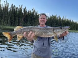 Man holding a large northern pike fish with both hands in front of a lake and forested background.