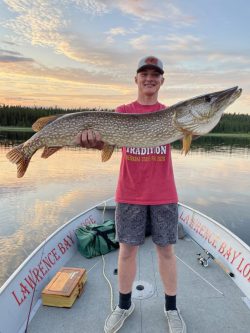 A person stands in a boat holding a large fish with both hands, smiling, with a lake and forest in the background.