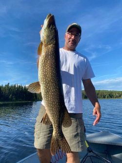 Man standing on a boat holding a large fish with a lake and forest in the background under a clear blue sky.