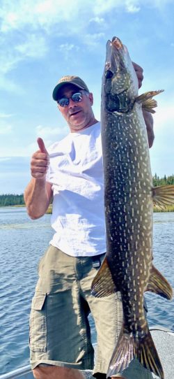 Man standing on a boat holds up a large fish with one hand and gives a thumbs-up with the other.