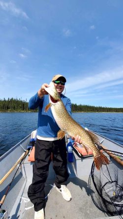 Person standing on a boat holding a large fish with a lake and forest in the background under a blue sky.