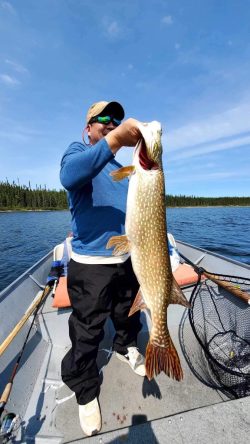 Person standing on a boat holding a large fish, with a fishing net and rods visible, and trees in the background.