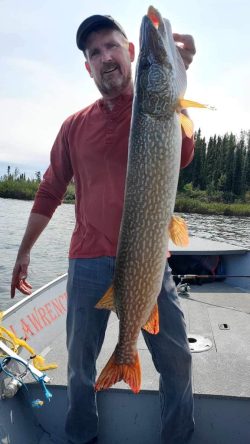 A man standing on a boat holds up a large fish with one hand, with a lake and trees in the background.
