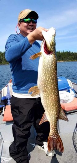 Man standing on a boat holding a large northern pike fish with water and trees in the background.