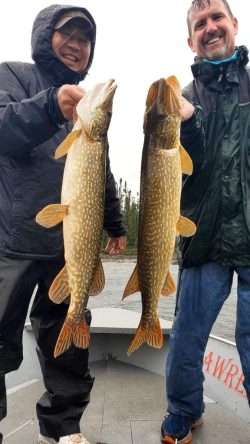 Two people in rain gear hold up large northern pike fish while standing on a boat on a cloudy day.