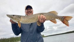 Person in a jacket holding a large northern pike fish outdoors by a lake with trees and cloudy sky in the background.