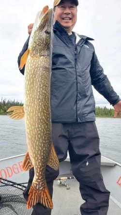 Person standing on a boat holding a large fish vertically with one hand, smiling at the camera.