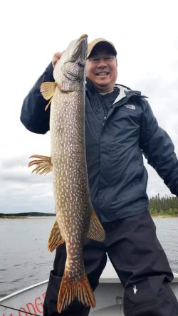 Person standing on a boat holding a large Northern Pike fish, wearing a jacket and cap, with a lake in the background.