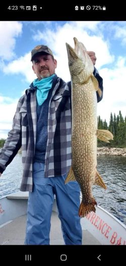 A man on a boat holds up a large fish beside a lake, with trees visible in the background.