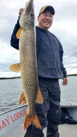 Man standing on a boat holding a large northern pike fish vertically in one hand, smiling at the camera.