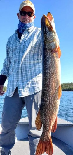 A man in outdoor clothing holds a large fish on a boat with a lake and trees in the background.