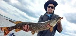 Man wearing sunglasses and a hat holds a large northern pike fish by the water on a cloudy day.