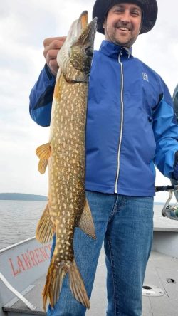 A person in a blue jacket holds a large northern pike fish on a boat, smiling at the camera.