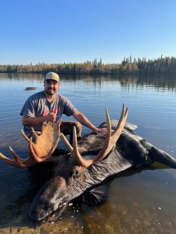 A man kneels in shallow lake water next to a large moose with antlers, giving a thumbs-up gesture. Trees line the shore.