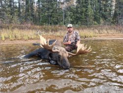 A man in camouflage poses with a large bull moose lying in shallow water near a forested shoreline.