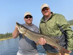Two men on a boat hold a large northern pike fish, with trees and water in the background on a sunny day.