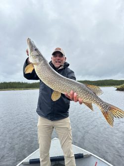 Person standing on a boat holds a large fish with both hands over a lake, trees and cloudy sky in the background.
