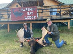 Two men kneel next to a large moose with antlers in front of Lawrence Bay Lodge, smiling at the camera.