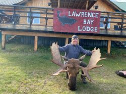 Person kneeling behind a large moose head and antlers in front of a building labeled "Lawrence Bay Lodge.