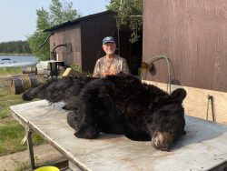 A man in camouflage stands behind a large black bear lying on a table outdoors near a wooden building.