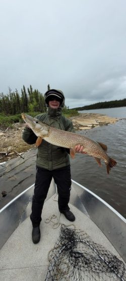 Person in outdoor clothing stands on a boat holding a large fish, with water and trees in the background.