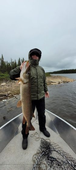 Person in green jacket standing on a boat holding a large fish by the mouth near a wooded shoreline on a cloudy day.