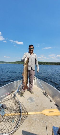 Person standing on a boat holding a large fish, with a lake and forest in the background under a clear sky.