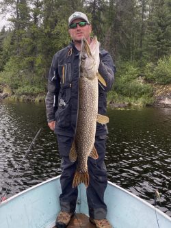 Person standing in a boat on a lake, holding a large fish vertically with forest background.