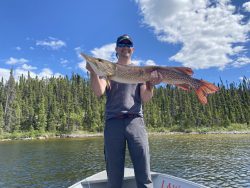 Person standing on a boat holding a large fish with a forest and blue sky in the background.