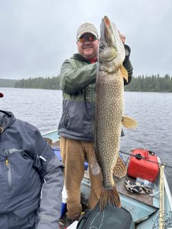 Person standing on a boat, holding a large fish upright, with a lake and trees in the background.