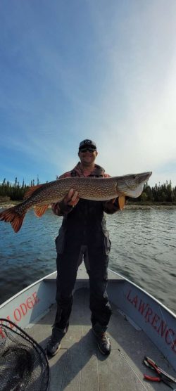 Person standing in a boat holding a large fish horizontally with both hands on a lake, trees in background.