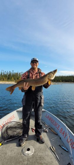 Person standing on a boat holding a large fish, with a lake and trees in the background.