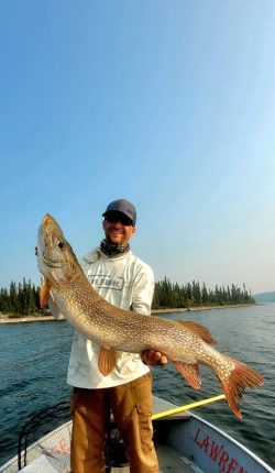 Person standing on a boat holding a large fish over water with trees and clear sky in the background.