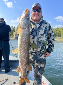 Man in camouflage clothing on a boat holds up a large Northern Pike fish with a lake and trees in the background.