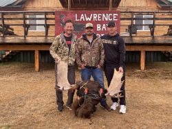 Three men pose with moose antlers and a moose head in front of a building with a "Lawrence Bay" sign.