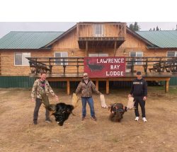 Three people stand in front of Lawrence Bay Lodge holding large moose antlers and a moose head on the ground.