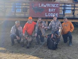 Five men pose outdoors in front of Lawrence Bay Lodge with two hunted moose trophies displayed on the ground.