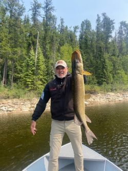 A person standing on a boat holds up a large fish in front of a forested shoreline on a sunny day.