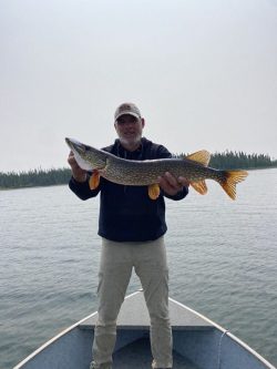 A person standing on a boat holding a large fish over a lake with trees in the background.