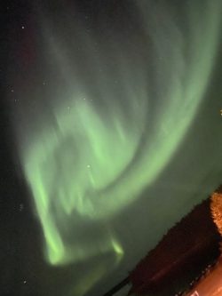 Green aurora borealis lights swirl in the night sky above a dark, silhouetted landscape.