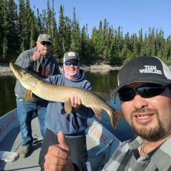 Three people on a boat hold a large fish, smiling and giving thumbs up, with trees and water in the background.