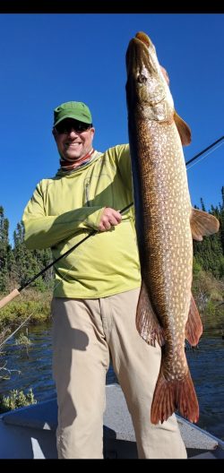 A person standing on a boat holding a large fish vertically with one hand; trees and water in the background.