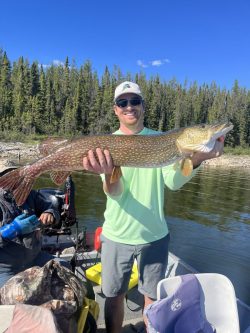Man on a boat holding a large northern pike fish, with trees and blue sky in the background.