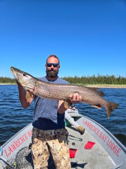 Man standing on a boat holds a large fish with both hands; lake and forest background under a clear blue sky.