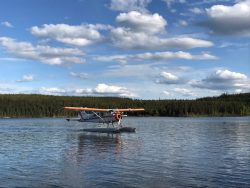 A small seaplane with orange accents floats on a calm lake, surrounded by forest under a partly cloudy sky.